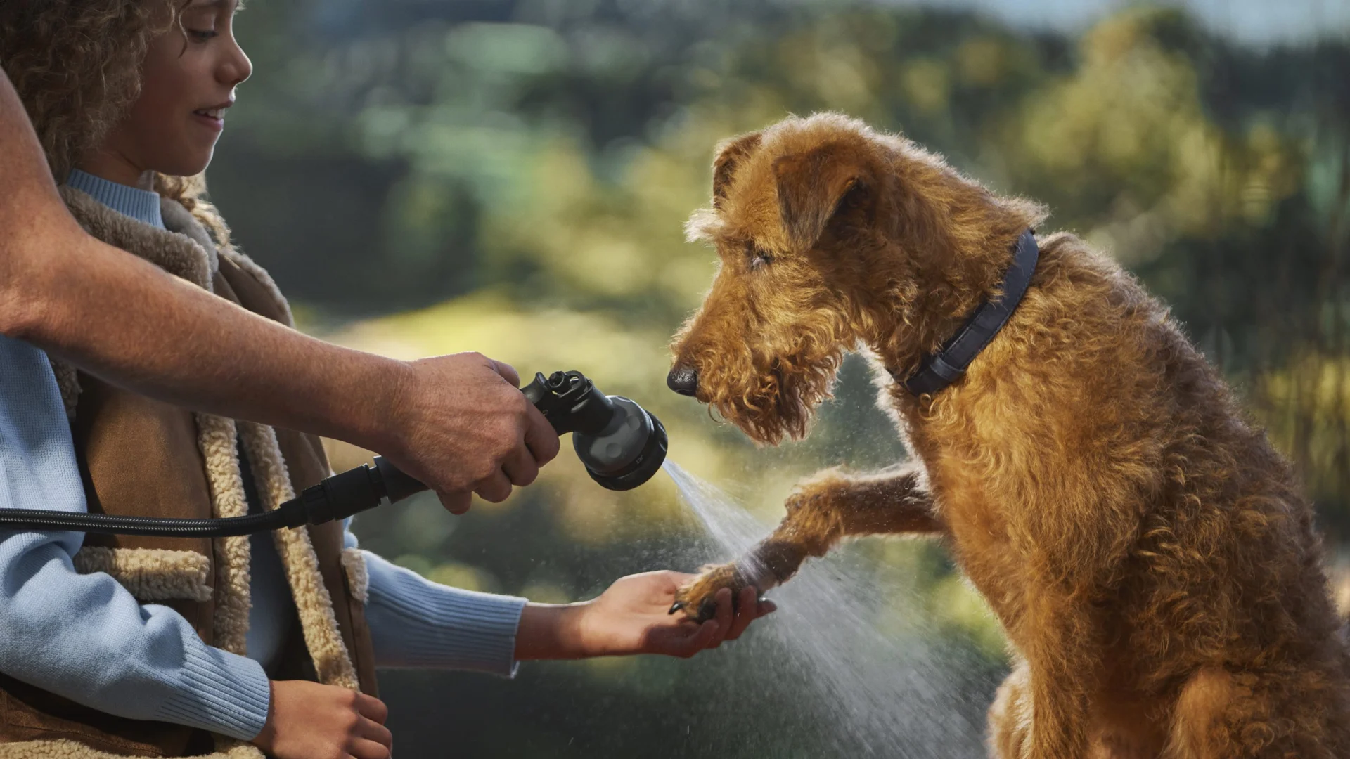 DISCOVERY_ACCSESSORY_PACK_FOR_DOGS_140525_02